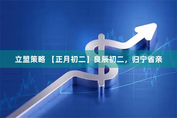 立盟策略 【正月初二】良辰初二，归宁省亲