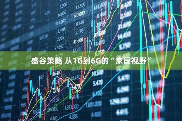 盛谷策略 从1G到6G的“家国视野”